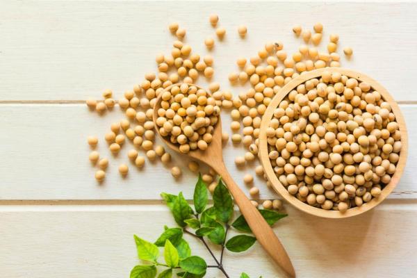 12 loại thực phẩm có nguy cơ không còn có mà ăn trong tương lai 12 loại thực phẩm có nguy cơ không còn có mà ăn trong tương lai