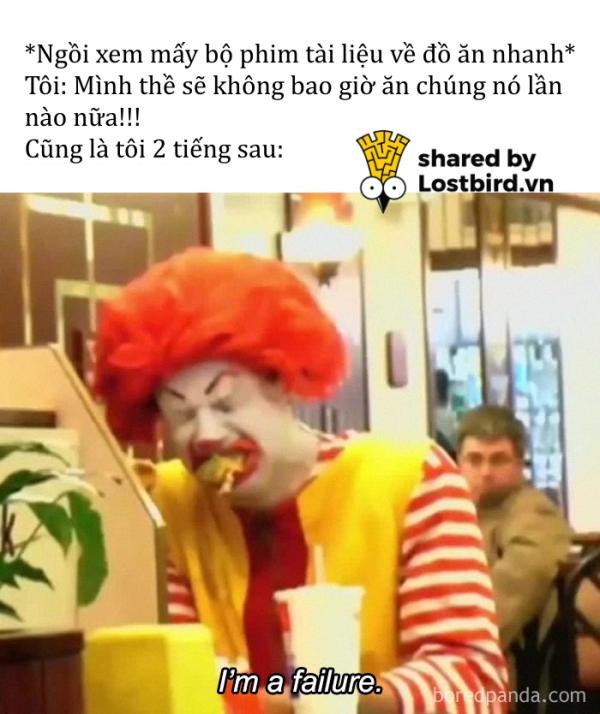 Kho ảnh bất tận ngập tràn tiếng cười về đồ ăn Kho ảnh bất tận ngập tràn tiếng cười về đồ ăn