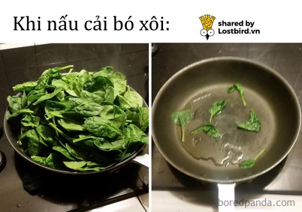 Kho ảnh bất tận ngập tràn tiếng cười về đồ ăn Kho ảnh bất tận ngập tràn tiếng cười về đồ ăn