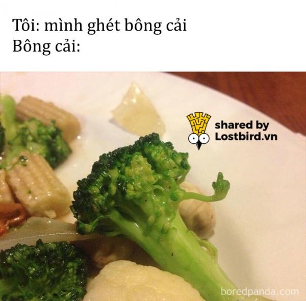 Kho ảnh bất tận ngập tràn tiếng cười về đồ ăn Kho ảnh bất tận ngập tràn tiếng cười về đồ ăn