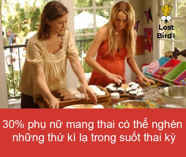 14 điều ít ai biết chứng minh phụ nữ là một sinh vật vô cùng phi thường 14 điều ít ai biết chứng minh phụ nữ là một sinh vật vô cùng phi thường