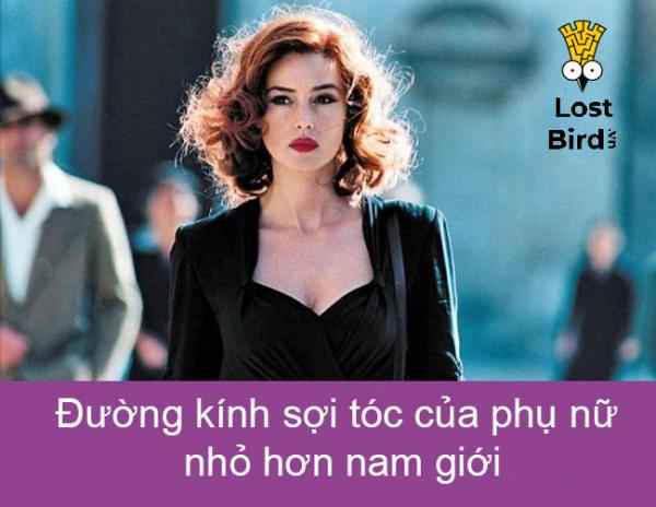 14 điều ít ai biết chứng minh phụ nữ là một sinh vật vô cùng phi thường 14 điều ít ai biết chứng minh phụ nữ là một sinh vật vô cùng phi thường