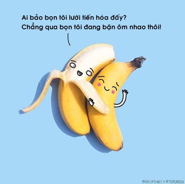 Bạn có biết các loại rau củ quả hiện giờ khác một trời một vực so với tổ tiên của chúng? Bạn có biết các loại rau củ quả hiện giờ khác một trời một vực so với tổ tiên của chúng?