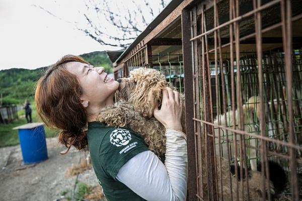 Tin vui trong ngày: Một trong những chợ thịt chó lớn nhất Hàn Quốc cuối cùng cũng đóng cửa Tin vui trong ngày: Một trong những chợ thịt chó lớn nhất Hàn Quốc cuối cùng cũng đóng cửa