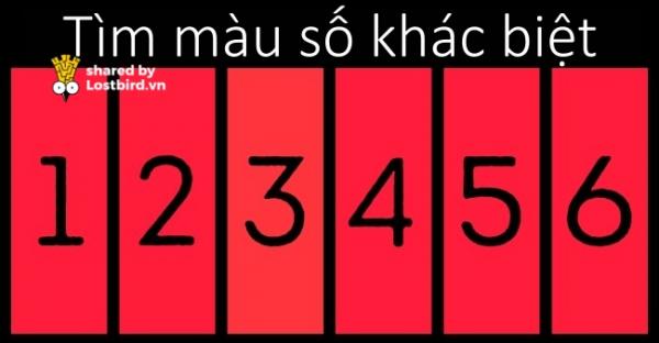 12 câu đố thử thách kỹ năng logic của bạn 12 câu đố thử thách kỹ năng logic của bạn