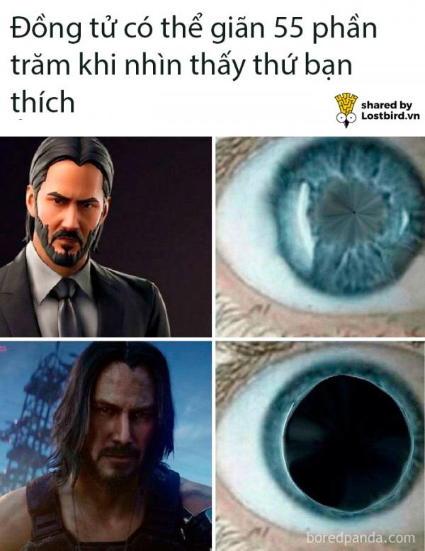 Tuyển tập meme về chàng diễn viên ai cũng yêu quý - Keanu Reeves Tuyển tập meme về chàng diễn viên ai cũng yêu quý - Keanu Reeves