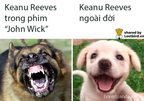 Tuyển tập meme về chàng diễn viên ai cũng yêu quý - Keanu Reeves Tuyển tập meme về chàng diễn viên ai cũng yêu quý - Keanu Reeves