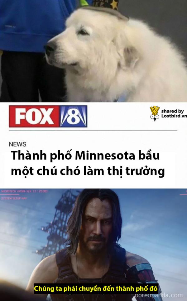 Tuyển tập meme về chàng diễn viên ai cũng yêu quý - Keanu Reeves Tuyển tập meme về chàng diễn viên ai cũng yêu quý - Keanu Reeves