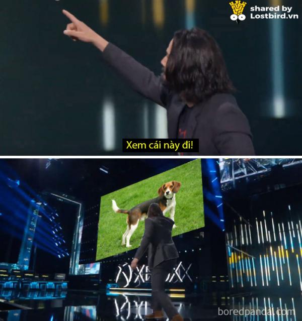 Tuyển tập meme về chàng diễn viên ai cũng yêu quý - Keanu Reeves Tuyển tập meme về chàng diễn viên ai cũng yêu quý - Keanu Reeves