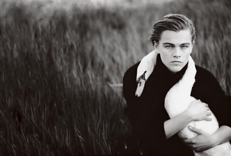 Leonardo DiCaprio gây áp lực buộc chính phủ Nga giải cứu 100 cá voi sát thủ và beluga Leonardo DiCaprio gây áp lực buộc chính phủ Nga giải cứu 100 cá voi sát thủ và beluga