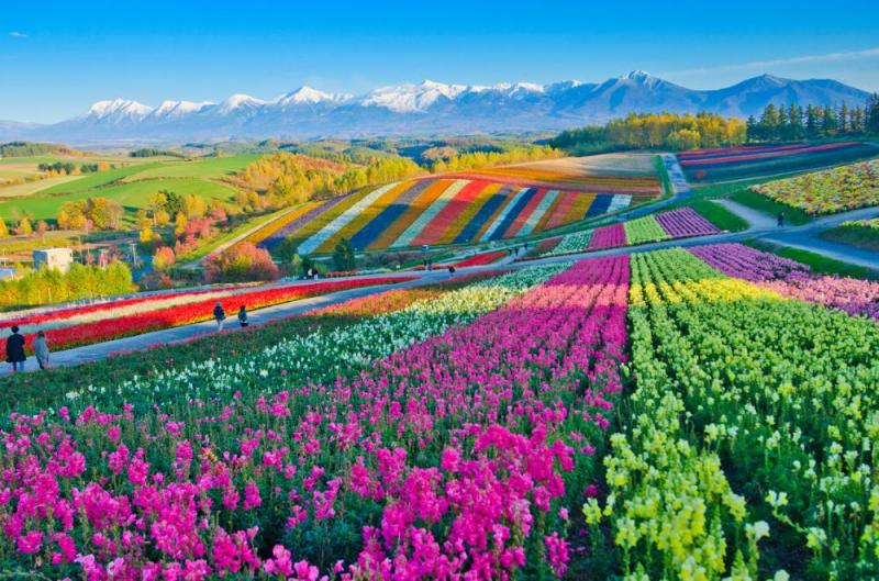 Ảnh: Thanya Jones/Shutterstock.