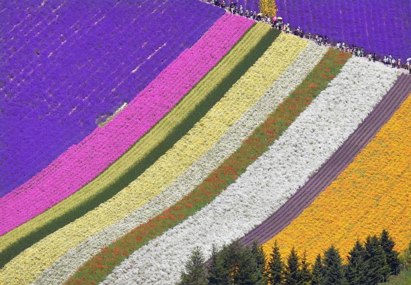 Ảnh: Kyodo News/Getty Images.