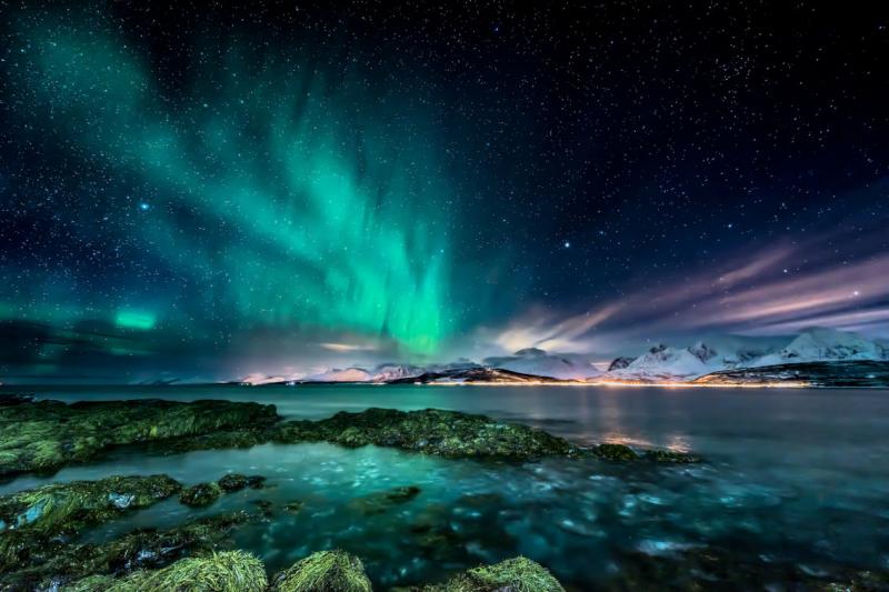 Ảnh: MarcinWojc/Shutterstock.