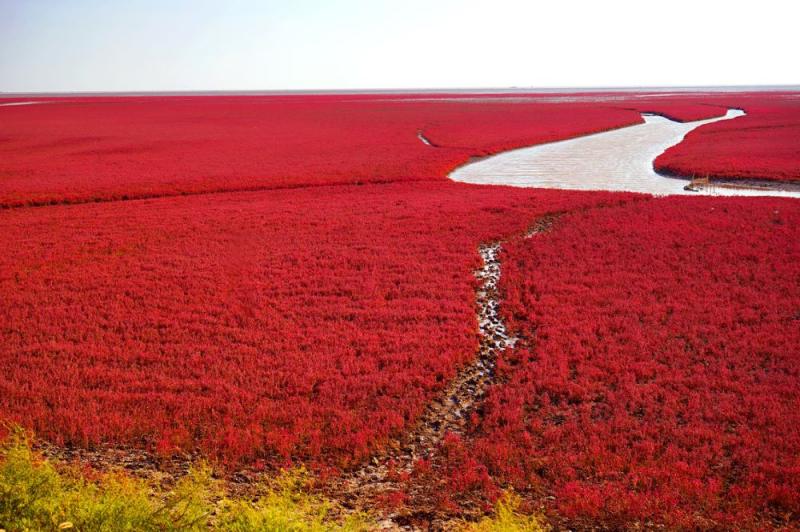 Ảnh: riverwill_kay/Shutterstock.