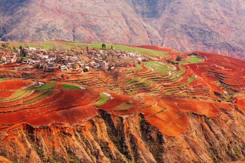 Ảnh: Tanes Ngamsom/Shutterstock.