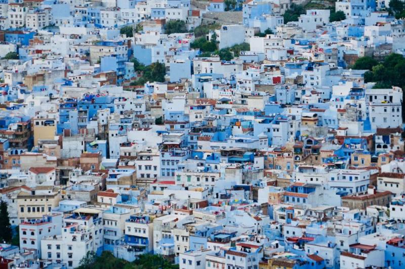 Ảnh: Tanna Ho/Shutterstock.