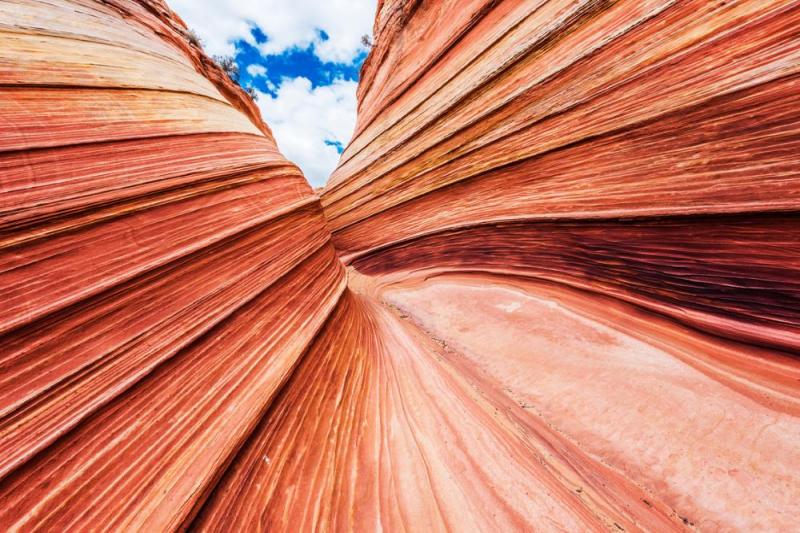 Ảnh: Filip Fuxa/Shutterstock.