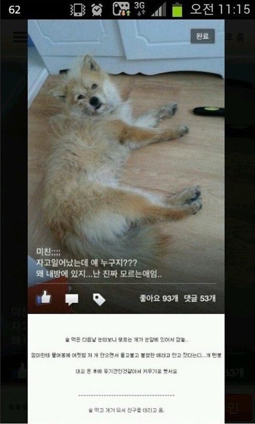 Chuyện chỉ có ở Hàn Quốc: Say rượu xong 'cuỗm' đủ thứ trời ơi đất hỡi về nhà Chuyện chỉ có ở Hàn Quốc: Say rượu xong 'cuỗm' đủ thứ trời ơi đất hỡi về nhà