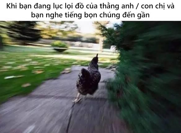 Những tình cảnh éo le mà con một chẳng bao giờ hiểu được Những tình cảnh éo le mà con một chẳng bao giờ hiểu được