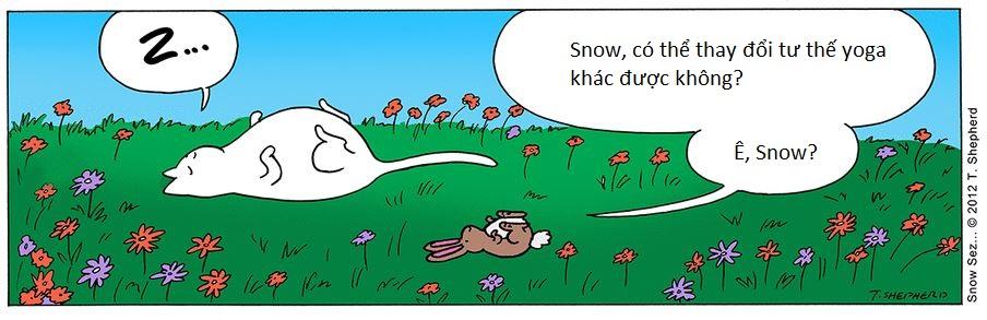 Triết lí sống của chú mèo luôn cười 'đểu': Chuẩn không cần chỉnh, chỉnh là mất chuẩn Triết lí sống của chú mèo luôn cười 'đểu': Chuẩn không cần chỉnh, chỉnh là mất chuẩn