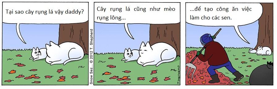 Triết lí sống của chú mèo luôn cười 'đểu': Chuẩn không cần chỉnh, chỉnh là mất chuẩn Triết lí sống của chú mèo luôn cười 'đểu': Chuẩn không cần chỉnh, chỉnh là mất chuẩn