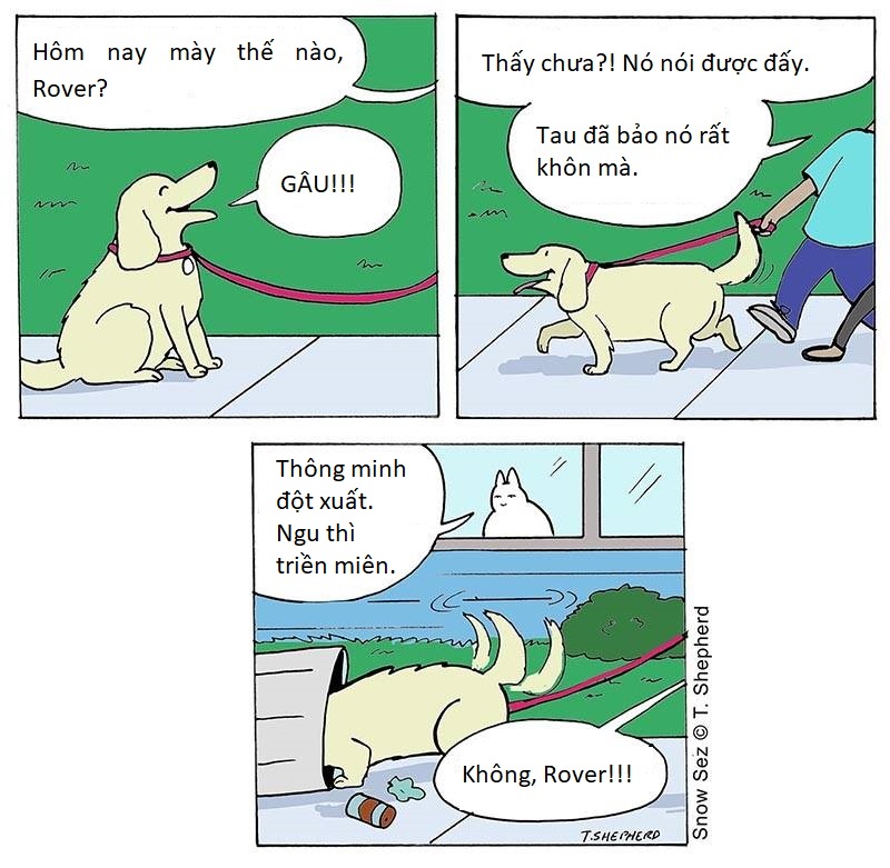Triết lí sống của chú mèo luôn cười 'đểu': Chuẩn không cần chỉnh, chỉnh là mất chuẩn Triết lí sống của chú mèo luôn cười 'đểu': Chuẩn không cần chỉnh, chỉnh là mất chuẩn