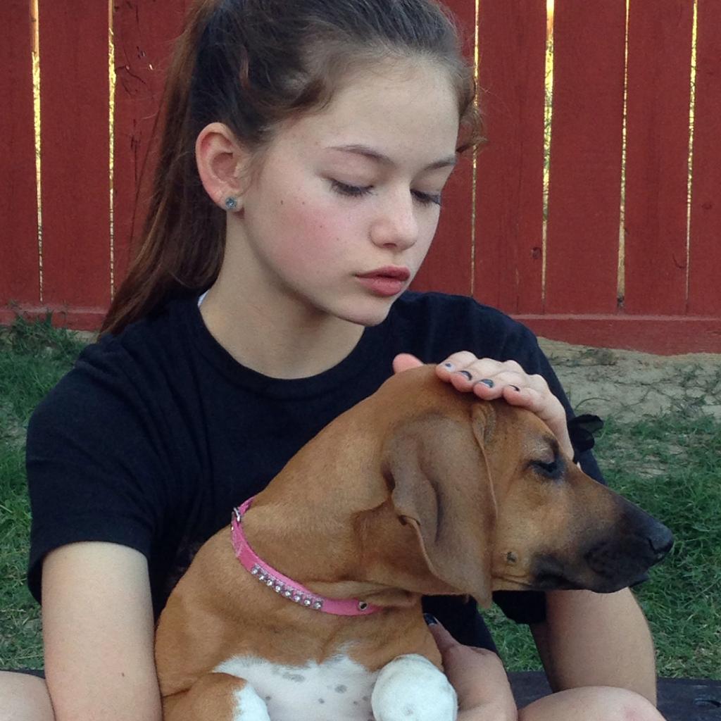 Mackenzie Foy: 7 năm từ sao nhí 'Twilight' đến 'nàng công chúa' được cả Hollywood cưng chiều Mackenzie Foy: 7 năm từ sao nhí 'Twilight' đến 'nàng công chúa' được cả Hollywood cưng chiều