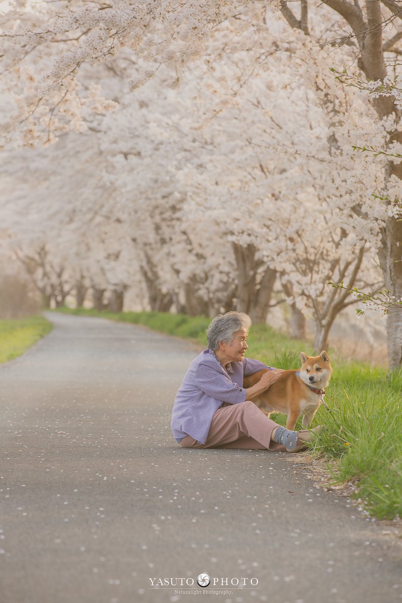 Bộ ảnh bà ngoại và Shiba Inu: Bốn mùa xuân, hạ, thu đông, lòng mãi nhẹ tênh như mây trời Bộ ảnh bà ngoại và Shiba Inu: Bốn mùa xuân, hạ, thu đông, lòng mãi nhẹ tênh như mây trời