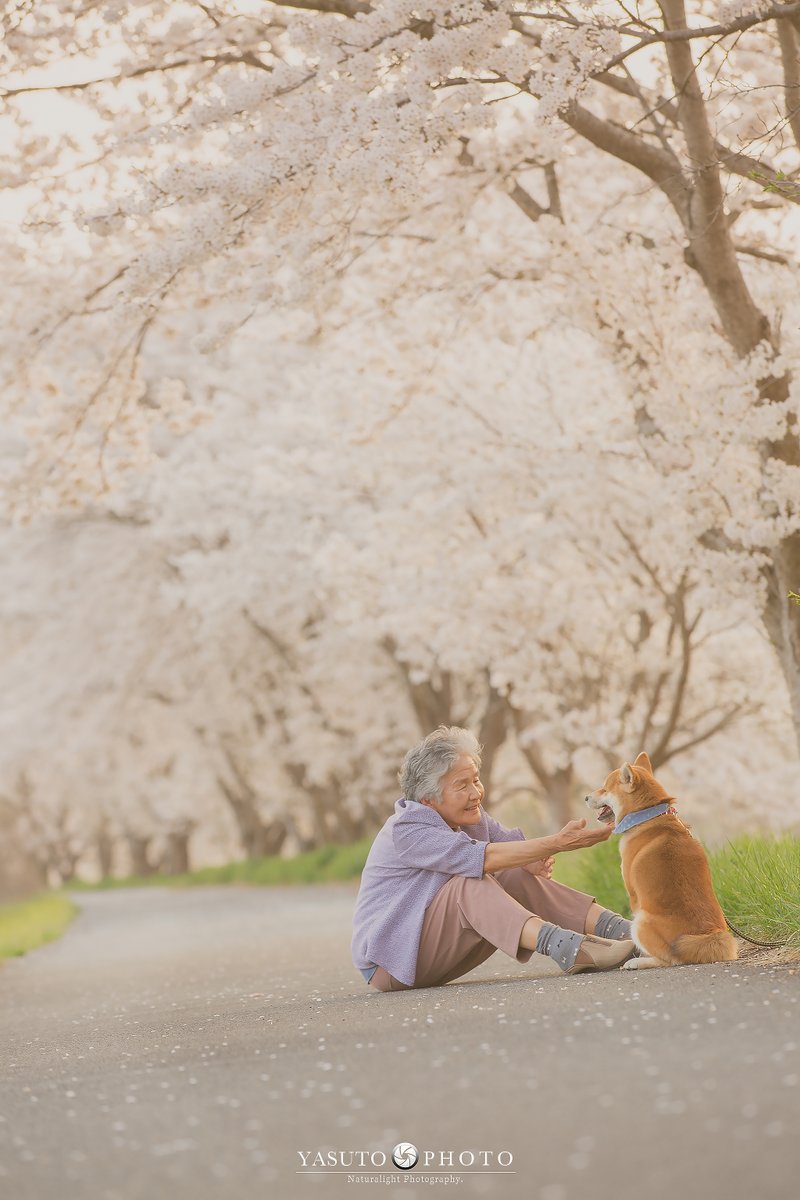Bộ ảnh bà ngoại và Shiba Inu: Bốn mùa xuân, hạ, thu đông, lòng mãi nhẹ tênh như mây trời Bộ ảnh bà ngoại và Shiba Inu: Bốn mùa xuân, hạ, thu đông, lòng mãi nhẹ tênh như mây trời