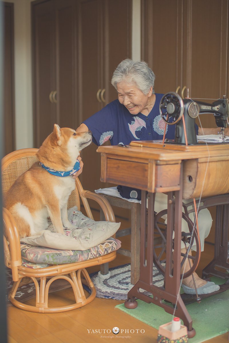 Bộ ảnh bà ngoại và Shiba Inu: Bốn mùa xuân, hạ, thu đông, lòng mãi nhẹ tênh như mây trời Bộ ảnh bà ngoại và Shiba Inu: Bốn mùa xuân, hạ, thu đông, lòng mãi nhẹ tênh như mây trời