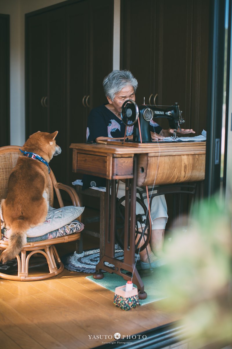 Bộ ảnh bà ngoại và Shiba Inu: Bốn mùa xuân, hạ, thu đông, lòng mãi nhẹ tênh như mây trời Bộ ảnh bà ngoại và Shiba Inu: Bốn mùa xuân, hạ, thu đông, lòng mãi nhẹ tênh như mây trời