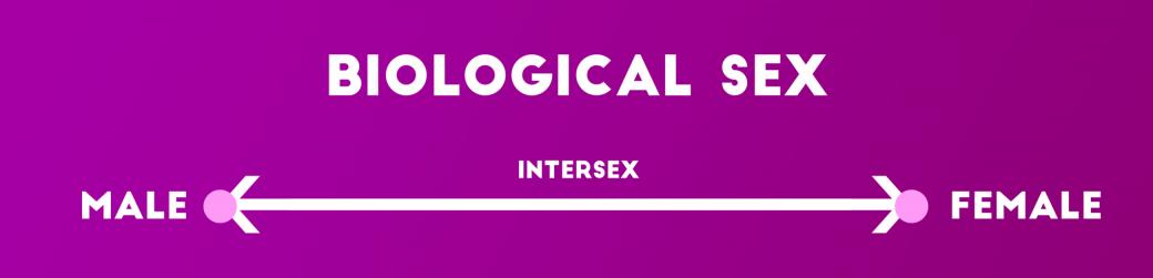 Những định kiến và ngộ nhận sai lầm khiến cộng đồng LGBT+ ‘phát khùng’ Những định kiến và ngộ nhận sai lầm khiến cộng đồng LGBT+ ‘phát khùng’