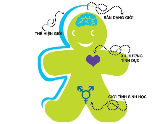 Những định kiến và ngộ nhận sai lầm khiến cộng đồng LGBT+ ‘phát khùng’ Những định kiến và ngộ nhận sai lầm khiến cộng đồng LGBT+ ‘phát khùng’