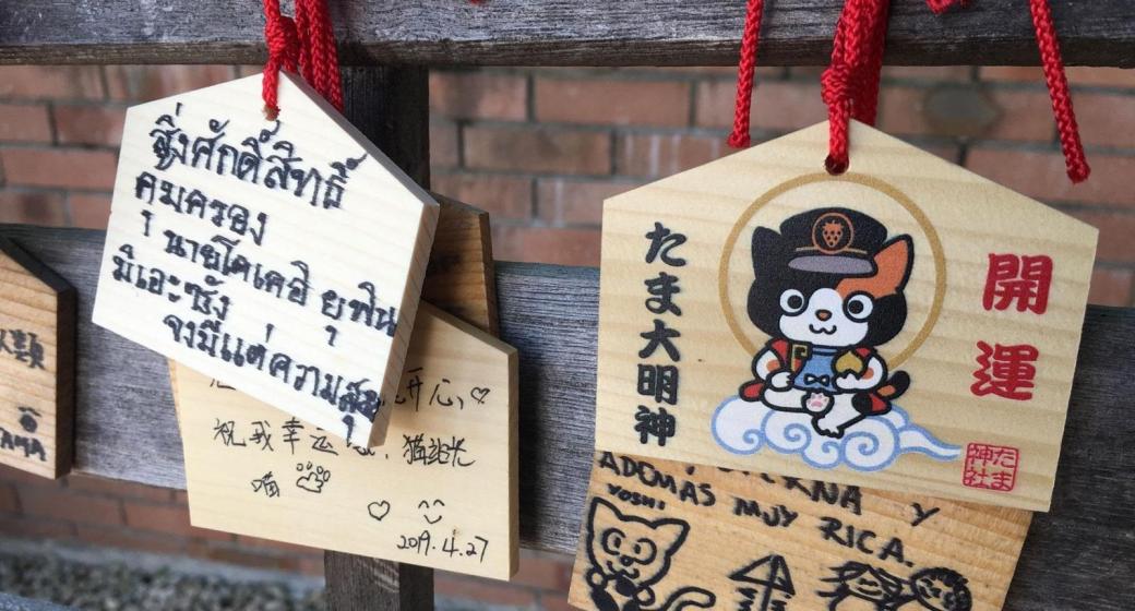 Những cô mèo cứu tuyến đường sắt ở Nhật Bản thoát khỏi cảnh đóng cửa Những cô mèo cứu tuyến đường sắt ở Nhật Bản thoát khỏi cảnh đóng cửa