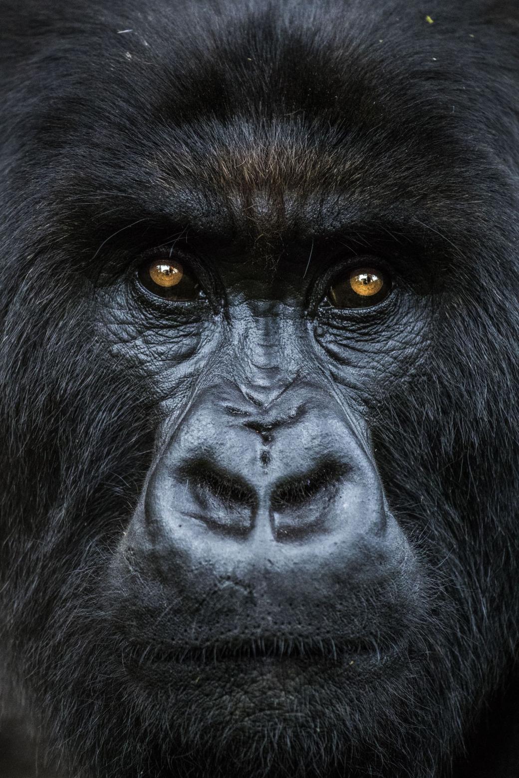 Ngỡ ngàng trước vẻ đẹp của mẹ thiên nhiên qua loạt ảnh thắng giải Nat Geo Travel 2019 Ngỡ ngàng trước vẻ đẹp của mẹ thiên nhiên qua loạt ảnh thắng giải Nat Geo Travel 2019