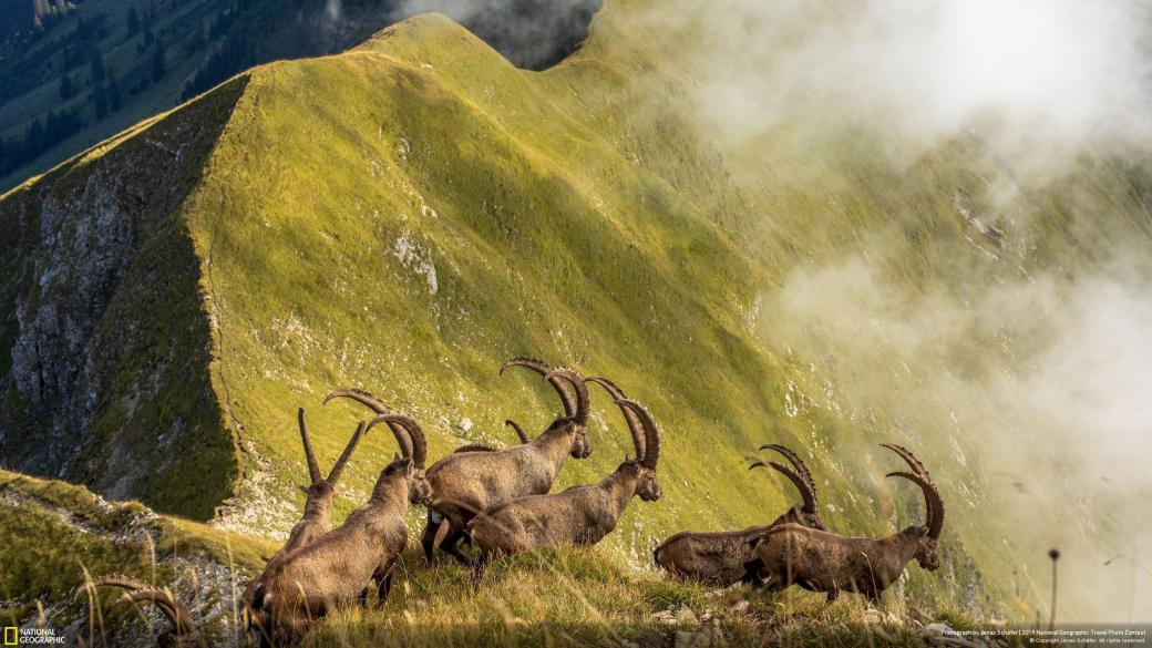 Ngỡ ngàng trước vẻ đẹp của mẹ thiên nhiên qua loạt ảnh thắng giải Nat Geo Travel 2019 Ngỡ ngàng trước vẻ đẹp của mẹ thiên nhiên qua loạt ảnh thắng giải Nat Geo Travel 2019