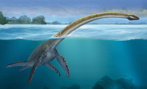 Hoá thạch 70 triệu năm tuổi nghi ngờ của 'quái vật hồ Loch Ness đời thực' được tìm thấy ở Nam Cực Hoá thạch 70 triệu năm tuổi nghi ngờ của 'quái vật hồ Loch Ness đời thực' được tìm thấy ở Nam Cực