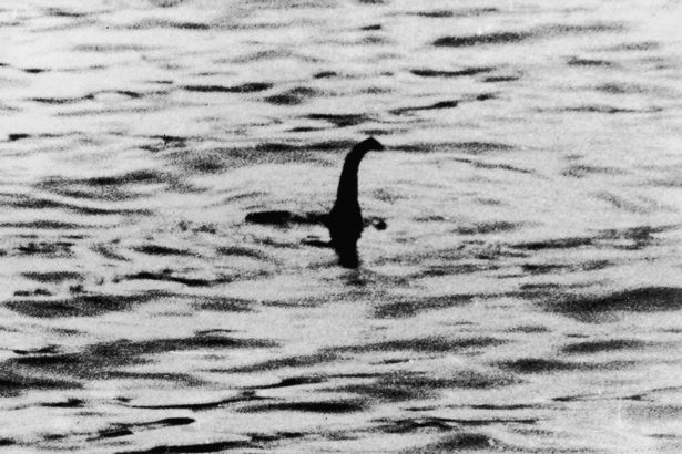Hoá thạch 70 triệu năm tuổi nghi ngờ của 'quái vật hồ Loch Ness đời thực' được tìm thấy ở Nam Cực Hoá thạch 70 triệu năm tuổi nghi ngờ của 'quái vật hồ Loch Ness đời thực' được tìm thấy ở Nam Cực