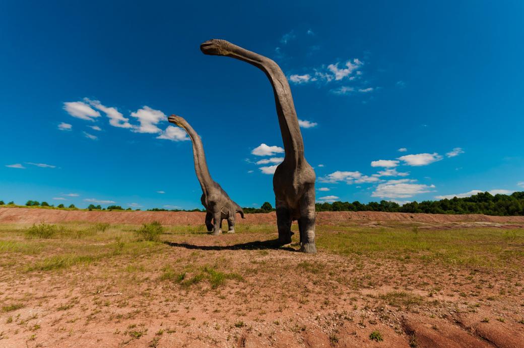 Hoá thạch 70 triệu năm tuổi nghi ngờ của 'quái vật hồ Loch Ness đời thực' được tìm thấy ở Nam Cực Hoá thạch 70 triệu năm tuổi nghi ngờ của 'quái vật hồ Loch Ness đời thực' được tìm thấy ở Nam Cực