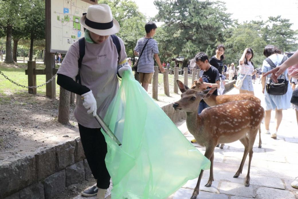 Hươu Nara quý chết trong tình trạng gầy trơ xương vì ăn phải rác thải nhựa từ khách du lịch Hươu Nara quý chết trong tình trạng gầy trơ xương vì ăn phải rác thải nhựa từ khách du lịch