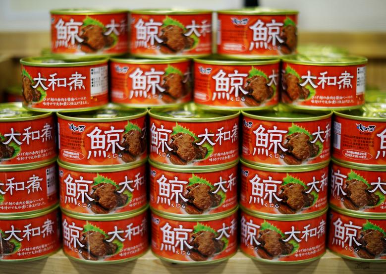 Ngành công nghiệp thịt cá voi từ đại dương đến bàn ăn ở Nhật Bản Ngành công nghiệp thịt cá voi từ đại dương đến bàn ăn ở Nhật Bản