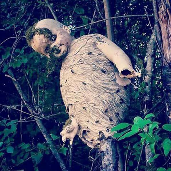 Phim kinh dị là 'muỗi' so với loạt cảnh tượng hãi hùng dưới đây Phim kinh dị là 'muỗi' so với loạt cảnh tượng hãi hùng dưới đây
