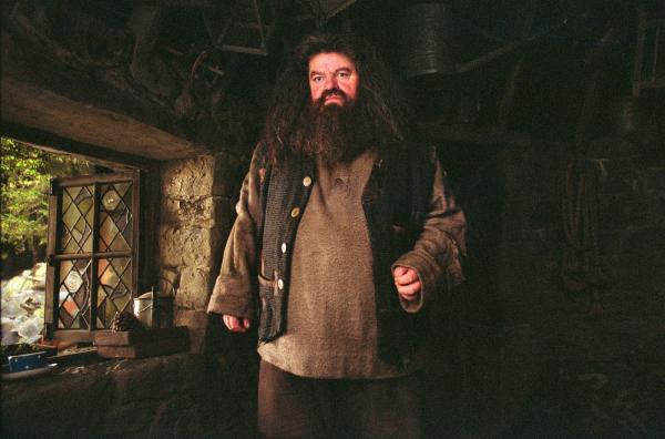 Dàn diễn viên 'Harry Potter' bồi hồi kể lại chuyện hậu trường sau 17 năm Dàn diễn viên 'Harry Potter' bồi hồi kể lại chuyện hậu trường sau 17 năm