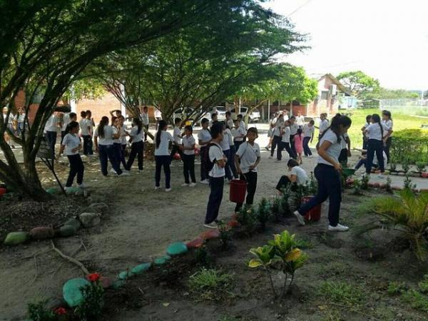 Chú chó thông minh dùng... lá để 'mua' bánh quy mỗi ngày Chú chó thông minh dùng... lá để 'mua' bánh quy mỗi ngày
