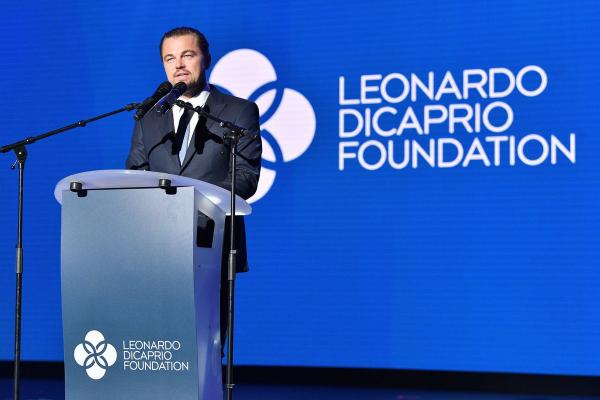 Bọ cánh cứng mới phát hiện ở Malaysia được đặt theo tên... Leonardo DiCaprio Bọ cánh cứng mới phát hiện ở Malaysia được đặt theo tên... Leonardo DiCaprio