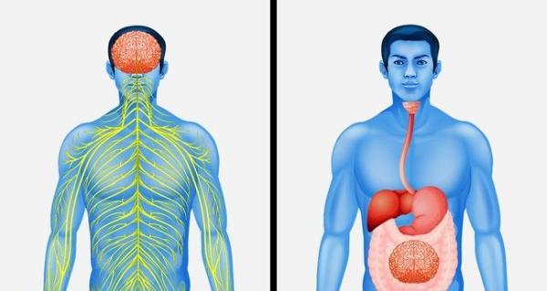 20 fact khó tin giúp mở mang thế giới quan cho bạn 20 fact khó tin giúp mở mang thế giới quan cho bạn