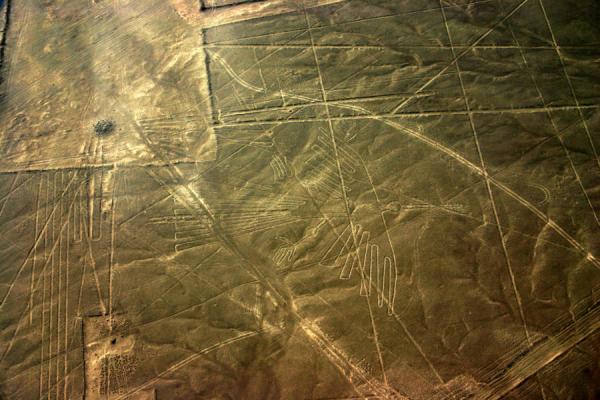 Đi tìm câu trả lời về những hình vẽ bí ẩn trên cao nguyên Nazca miền nam Peru Đi tìm câu trả lời về những hình vẽ bí ẩn trên cao nguyên Nazca miền nam Peru