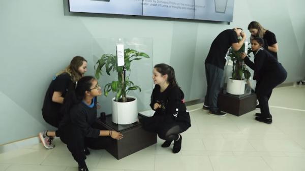 Chiến dịch chống bạo lực học đường của IKEA: Cho học sinh mắng chửi cây xanh trong 1 tháng và theo dõi kết quả Chiến dịch chống bạo lực học đường của IKEA: Cho học sinh mắng chửi cây xanh trong 1 tháng và theo dõi kết quả