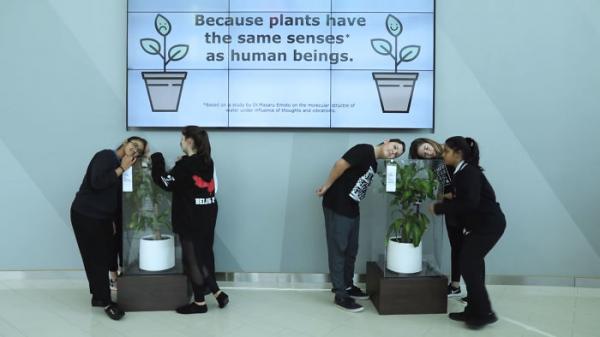 Chiến dịch chống bạo lực học đường của IKEA: Cho học sinh mắng chửi cây xanh trong 1 tháng và theo dõi kết quả Chiến dịch chống bạo lực học đường của IKEA: Cho học sinh mắng chửi cây xanh trong 1 tháng và theo dõi kết quả