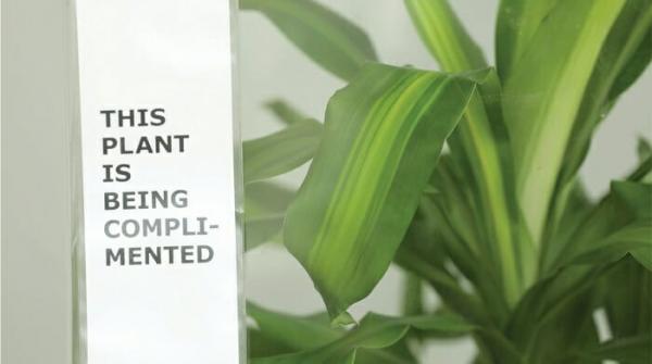 Chiến dịch chống bạo lực học đường của IKEA: Cho học sinh mắng chửi cây xanh trong 1 tháng và theo dõi kết quả Chiến dịch chống bạo lực học đường của IKEA: Cho học sinh mắng chửi cây xanh trong 1 tháng và theo dõi kết quả